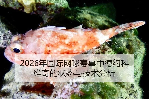 nian-guo-ji-wang-qiu-sai-shi-zhong-de-yue-ke-wei-qi-de-zhuang-tai-yu-ji-shu-fen-xi-2-328.jpg