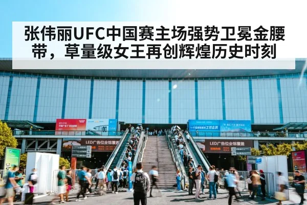 UFC China event crowd